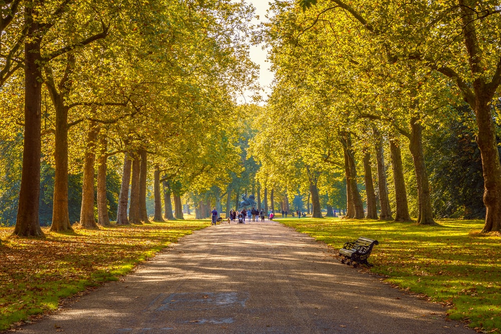 Take a Walk in Hyde Park